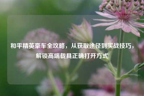 和平精英豪车全攻略，从获取途径到实战技巧，解锁高端载具正确打开方式