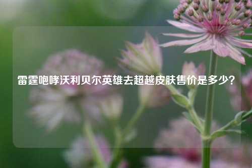 雷霆咆哮沃利贝尔英雄去超越皮肤售价是多少？