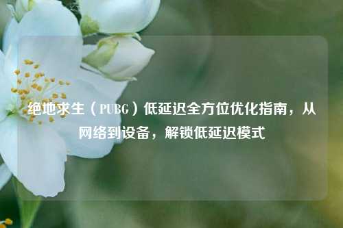 绝地求生（PUBG）低延迟全方位优化指南，从网络到设备，解锁低延迟模式