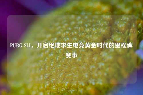 PUBG SLI，开启绝地求生电竞黄金时代的里程碑赛事