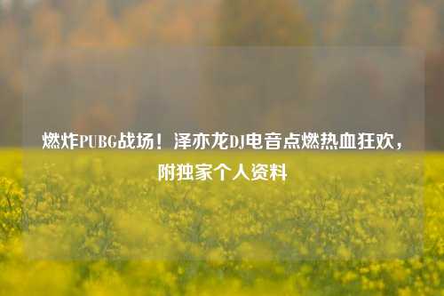 燃炸PUBG战场!泽亦龙DJ电音点燃热血狂欢,附独家个人资料