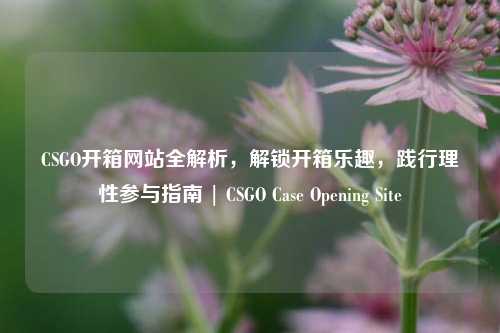 CSGO开箱网站全解析,解锁开箱乐趣,践行理性参与指南 | CSGO Case Opening Site