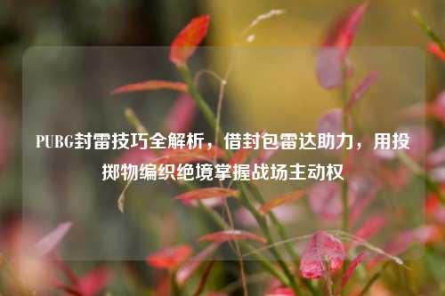 PUBG封雷技巧全解析,借封包雷达助力,用投掷物编织绝境掌握战场主动权