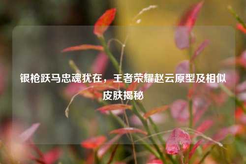银枪跃马忠魂犹在,王者荣耀赵云原型及相似皮肤揭秘