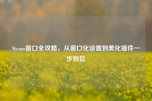 Steam窗口全攻略，从窗口化设置到美化插件一步到位