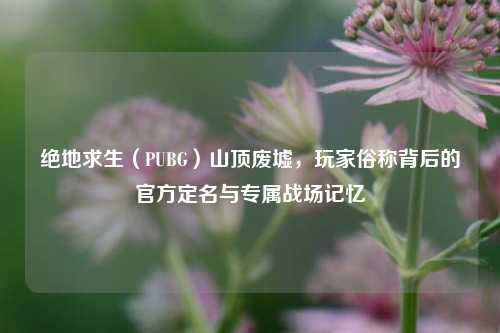 绝地求生(PUBG)山顶废墟,玩家俗称背后的官方定名与专属战场记忆
