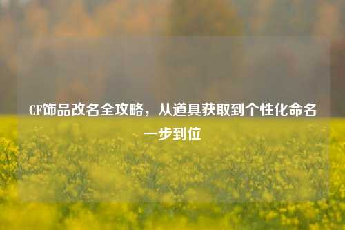 CF饰品改名全攻略,从道具获取到个性化命名一步到位