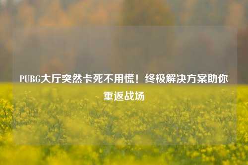 PUBG大厅突然卡死不用慌!终极解决方案助你重返战场