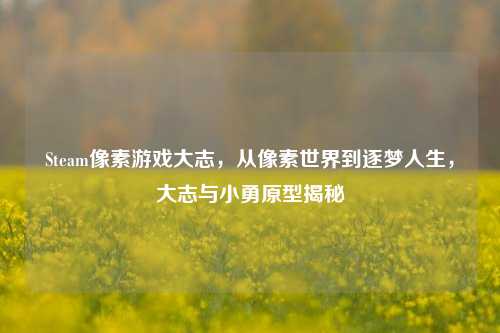 Steam像素游戏大志,从像素世界到逐梦人生,大志与小勇原型揭秘