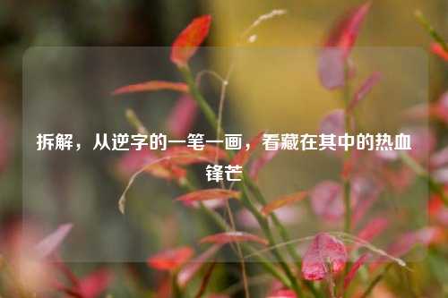 拆解,从逆字的一笔一画,看藏在其中的热血锋芒