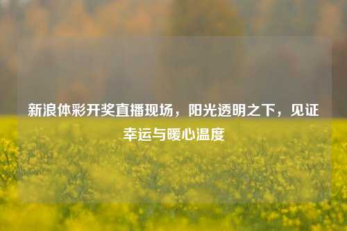 新浪体彩开奖直播现场，阳光透明之下，见证幸运与暖心温度
