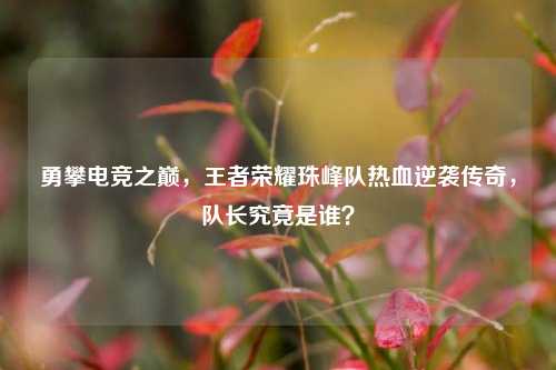 勇攀电竞之巅,王者荣耀珠峰队热血逆袭传奇,队长究竟是谁?