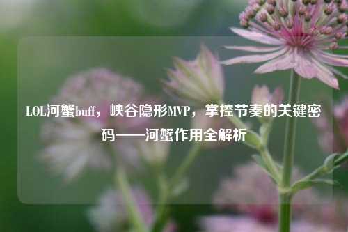 LOL河蟹buff,峡谷隐形MVP,掌控节奏的关键密码——河蟹作用全解析