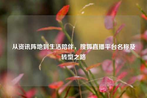 从资讯阵地到生活陪伴,搜狐直播平台名称及转型之路