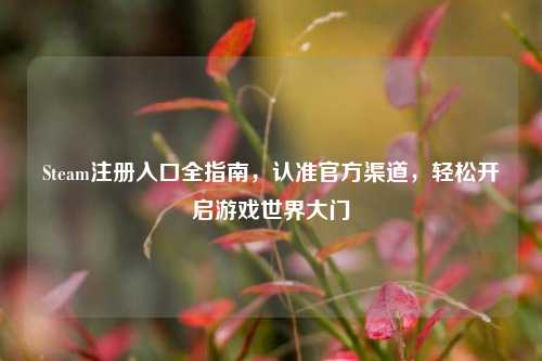 Steam注册入口全指南,认准官方渠道,轻松开启游戏世界大门
