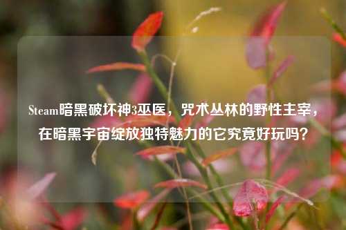 Steam暗黑破坏神3巫医,咒术丛林的野性主宰,在暗黑宇宙绽放独特魅力的它究竟好玩吗?