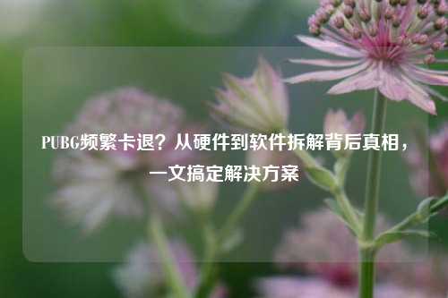 PUBG频繁卡退？从硬件到软件拆解背后真相，一文搞定解决方案