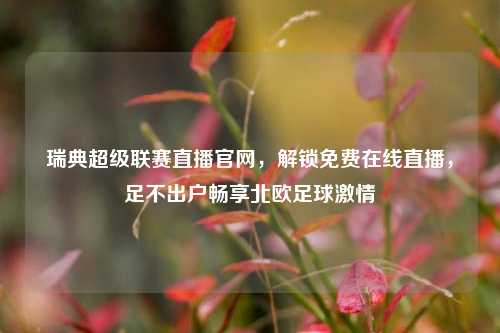 瑞典超级联赛直播官网，解锁免费在线直播，足不出户畅享北欧足球激情