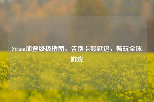 Steam加速终极指南,告别卡顿延迟,畅玩全球游戏