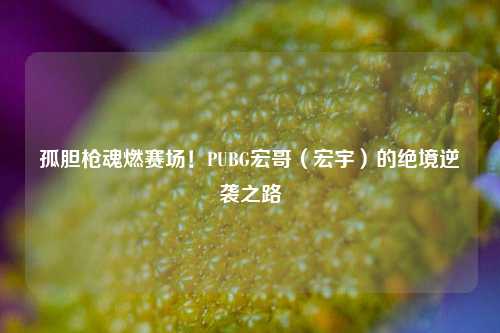 孤胆枪魂燃赛场!PUBG宏哥(宏宇)的绝境逆袭之路