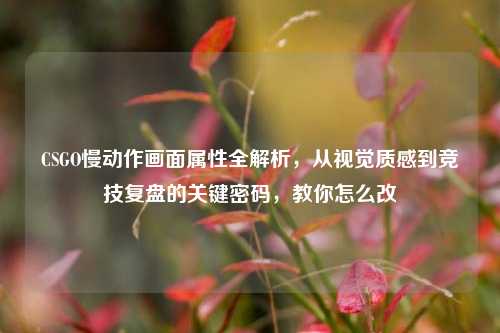 CSGO慢动作画面属性全解析,从视觉质感到竞技复盘的关键密码,教你怎么改