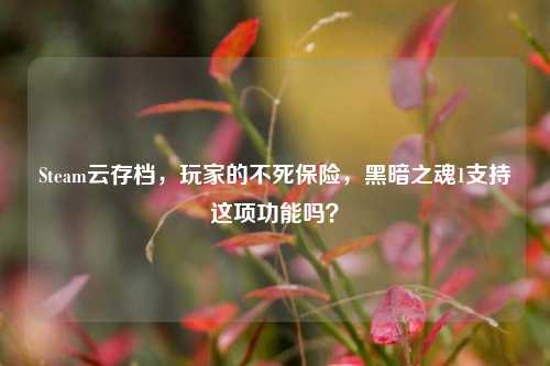 Steam云存档,玩家的不死保险,黑暗之魂1支持这项功能吗?