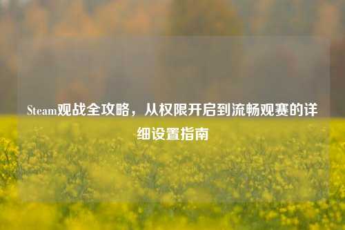 Steam观战全攻略,从权限开启到流畅观赛的详细设置指南