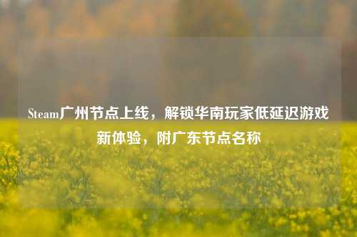 Steam广州节点上线,解锁华南玩家低延迟游戏新体验,附广东节点名称