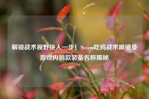 解锁战术视野快人一步!Steam吃鸡战术眼镜及游戏内同款装备名称揭秘