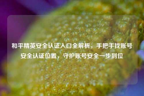 和平精英安全认证入口全解析,手把手找账号安全认证位置,守护账号安全一步到位