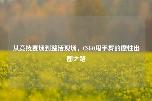 从竞技赛场到整活现场,CSGO甩手舞的魔性出圈之路