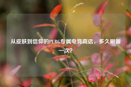 从皮肤到信仰的PUBG专属电竞商店,多久刷新一次?