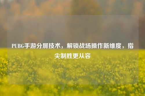 PUBG手游分屏技术，解锁战场操作新维度，指尖制胜更从容