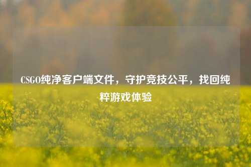 CSGO纯净客户端文件,守护竞技公平,找回纯粹游戏体验