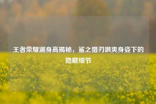 王者荣耀澜身高揭秘,鲨之猎刃飒爽身姿下的隐藏细节