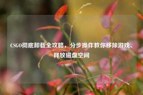 CSGO彻底卸载全攻略,分步操作教你移除游戏、释放磁盘空间