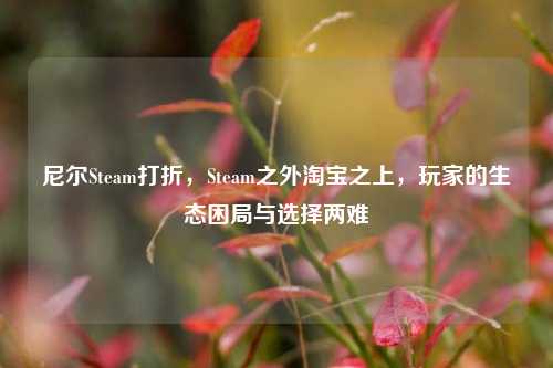 尼尔Steam打折,Steam之外淘宝之上,玩家的生态困局与选择两难