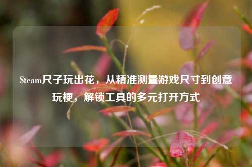 Steam尺子玩出花,从精准测量游戏尺寸到创意玩梗,解锁工具的多元打开方式