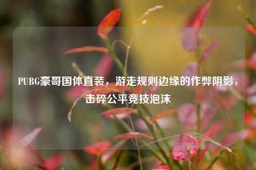PUBG豪哥国体直装,游走规则边缘的作弊阴影,击碎公平竞技泡沫