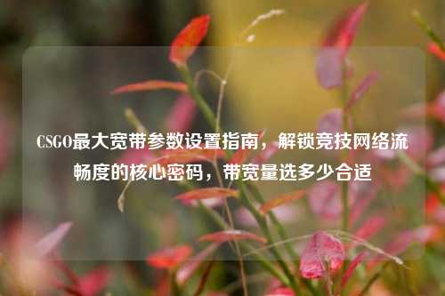 CSGO最大宽带参数设置指南,解锁竞技网络流畅度的核心密码,带宽量选多少合适