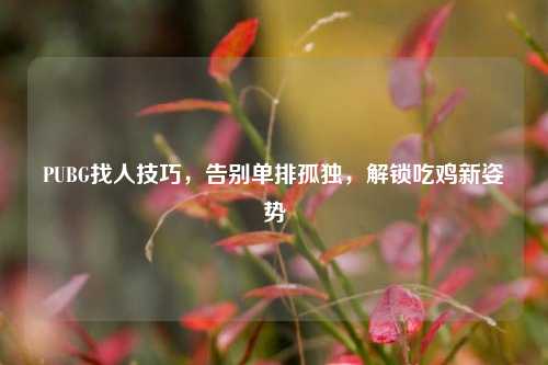 PUBG找人技巧,告别单排孤独,解锁吃鸡新姿势