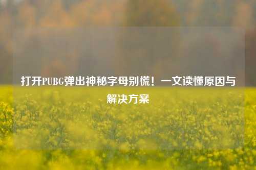 打开PUBG弹出神秘字母别慌！一文读懂原因与解决方案