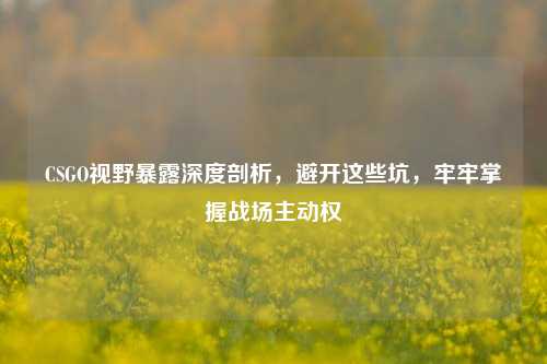CSGO视野暴露深度剖析,避开这些坑,牢牢掌握战场主动权