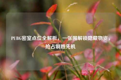 PUBG密室点位全解析,一张图解锁隐藏物资,抢占制胜先机