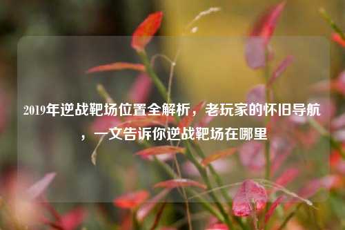 2019年逆战靶场位置全解析,老玩家的怀旧导航,一文告诉你逆战靶场在哪里