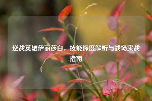 逆战英雄伊丽莎白,技能深度解析与战场实战指南