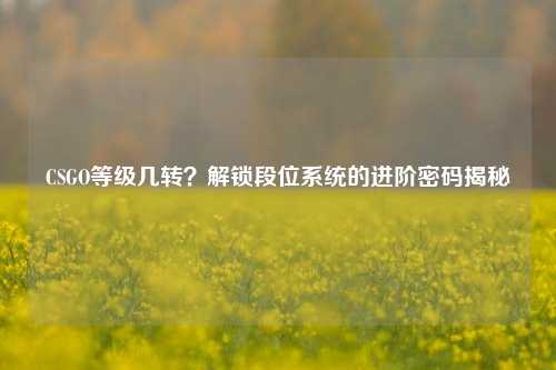 CSGO等级几转?解锁段位系统的进阶密码揭秘
