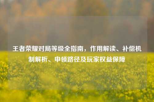 王者荣耀对局等级全指南,作用解读、补偿机制解析、申领路径及玩家权益保障
