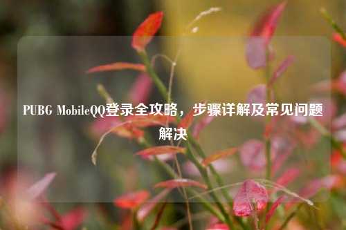 PUBG MobileQQ登录全攻略，步骤详解及常见问题解决