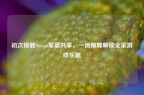 初次接触Steam家庭共享,一份预算解锁全家游戏乐趣